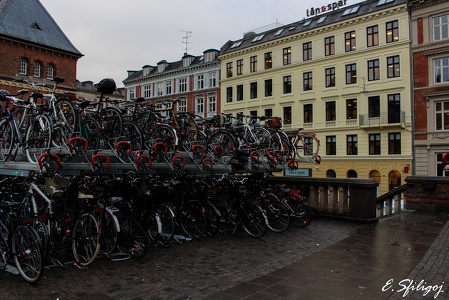 Copenhague 2015_21