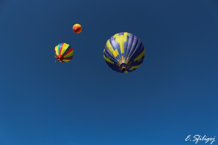Mondial Air Ballon 2015_9