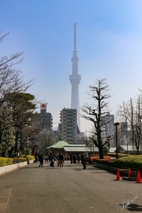 Tokyo_108