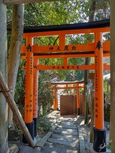Kyoto_10