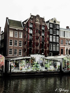 Amsterdam 2014_9
