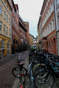 Copenhague 2015_18