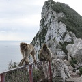 Gibraltar_08